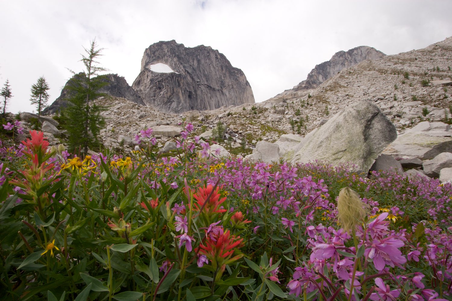  Lovely colours on the hike down from the Bugaboos 