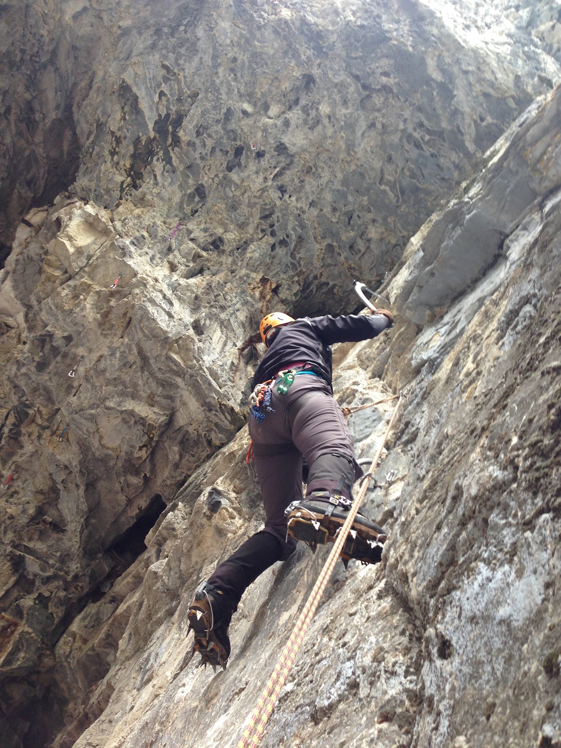 Tash leads a pitch