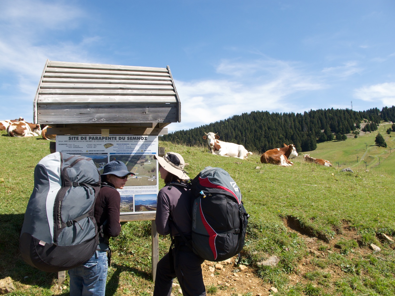  Susi and Tash check out the exact site of a paragliding launch among the cows 