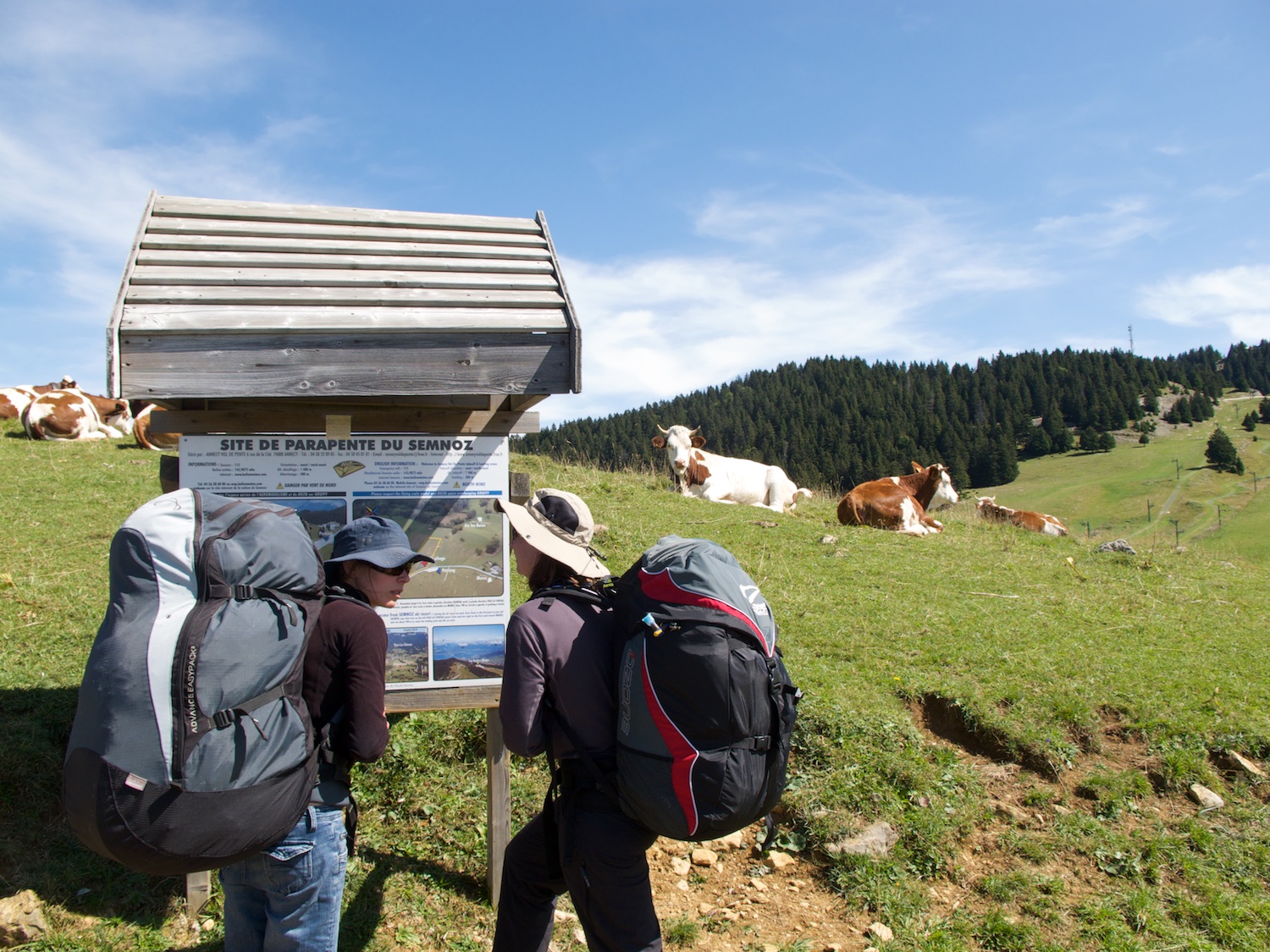 Susi and Tash check out the exact site of a paragliding launch among the cows