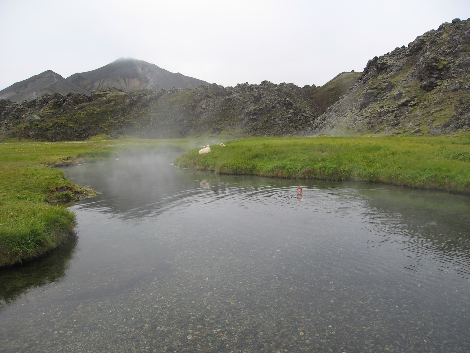  Gemma soaking in a natural hot spring at Landmannalaugar while sheep lounge nearby 