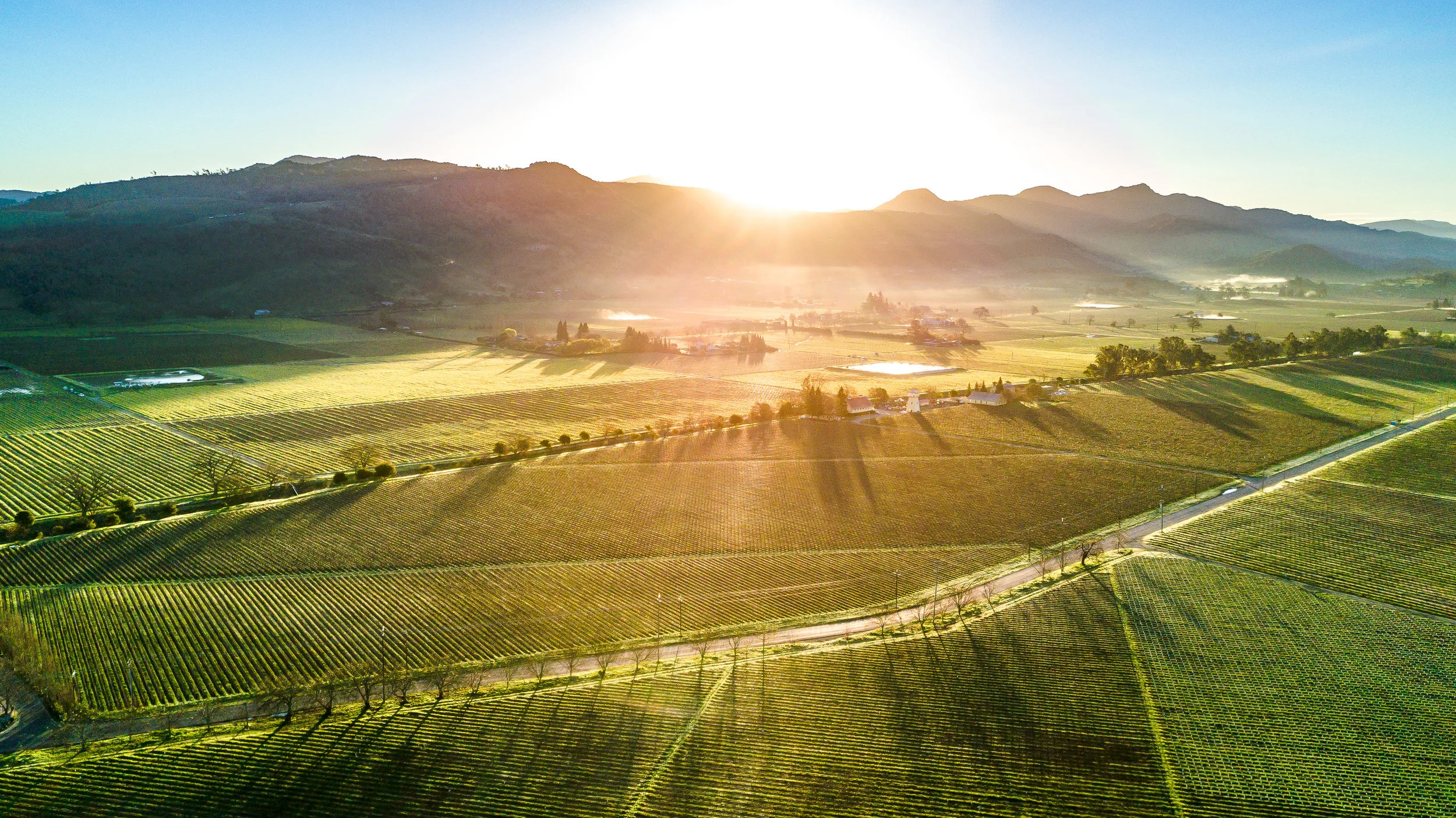 DJI_0837-Edit.jpg