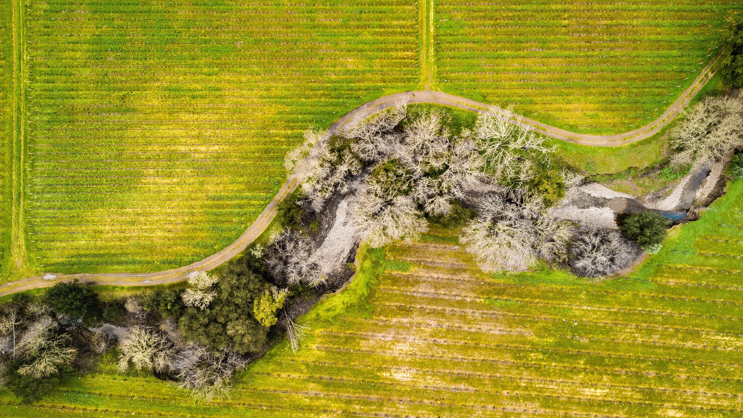 DJI_0206.jpg