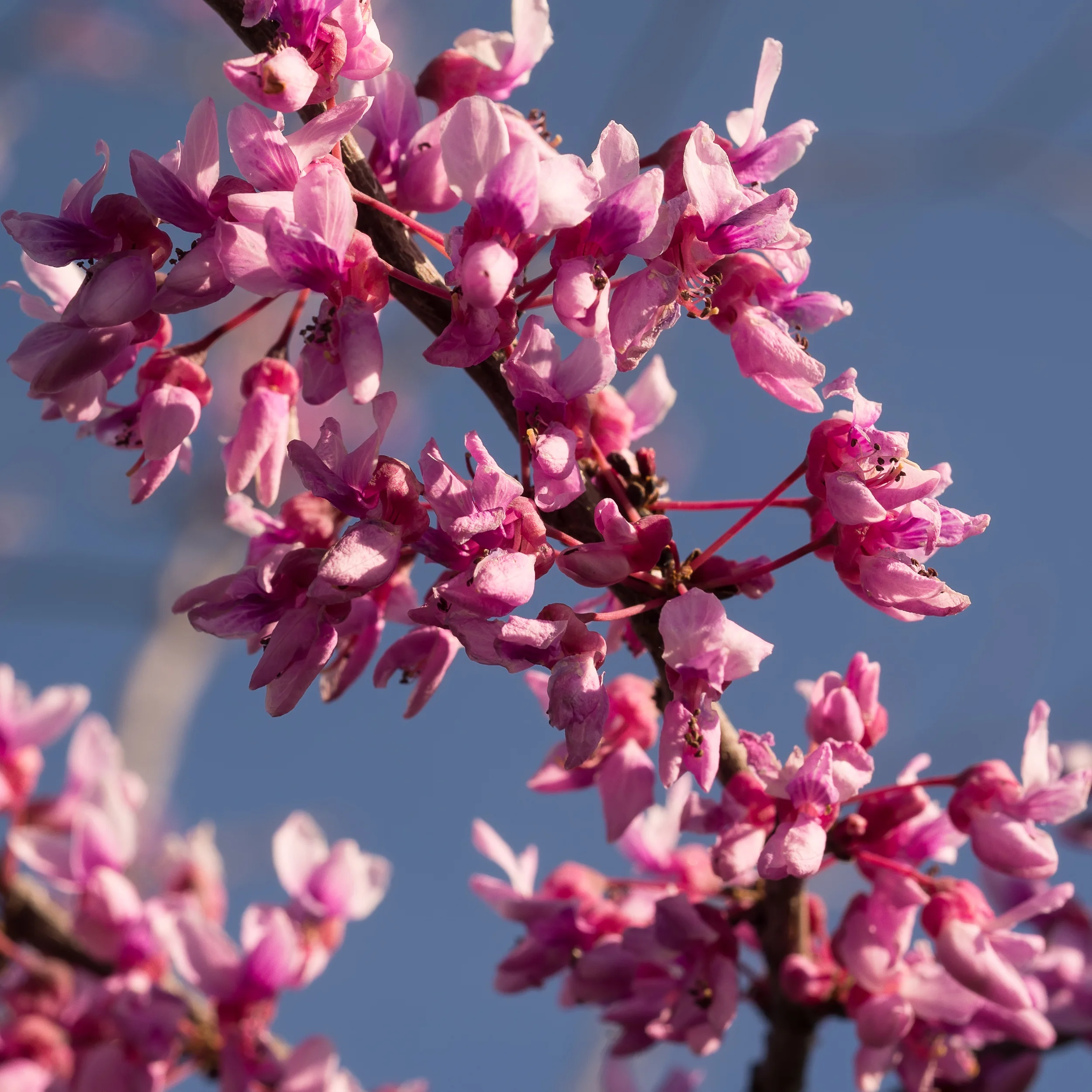 _DSC7546-Edit.jpg