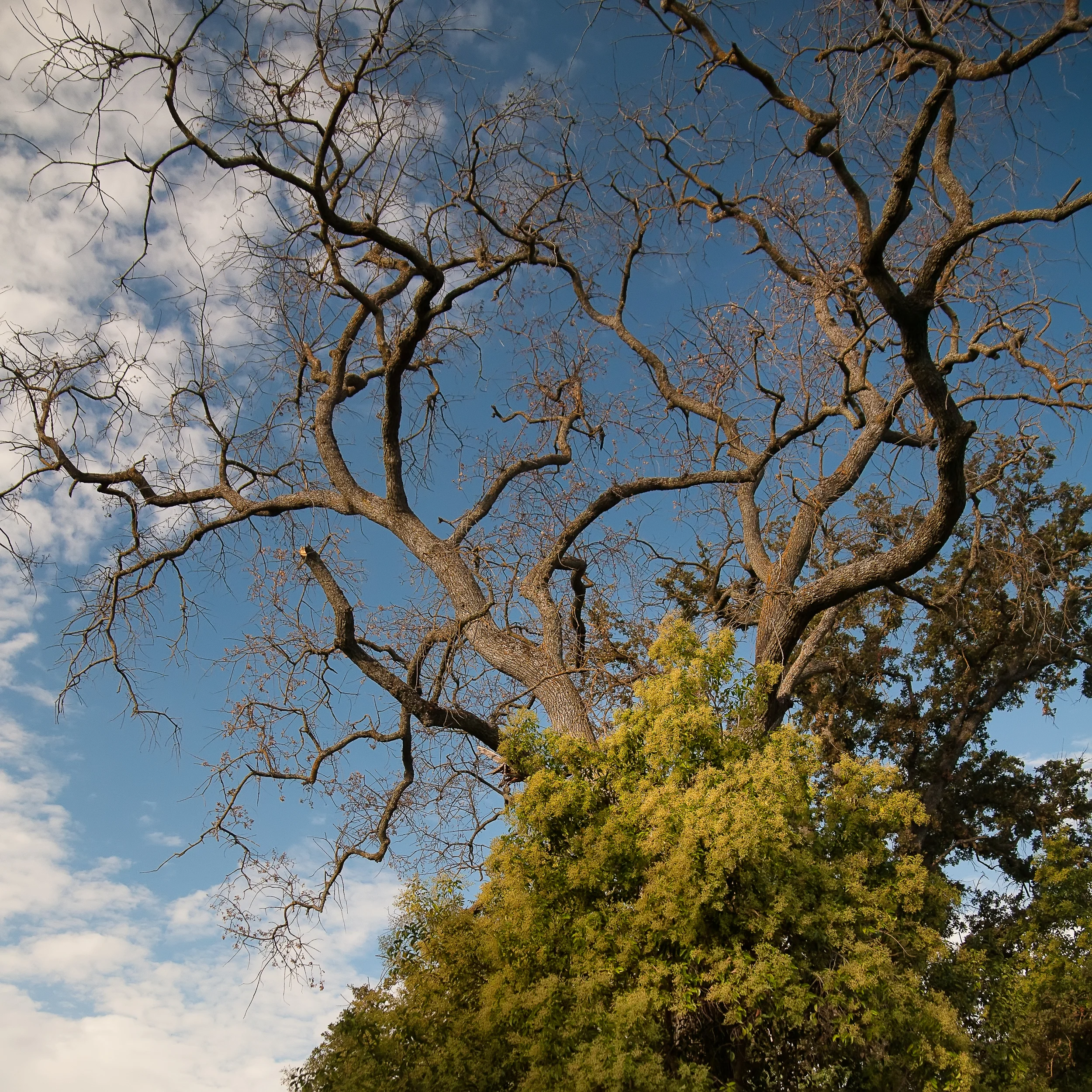 IMG_8636-Edit.jpg