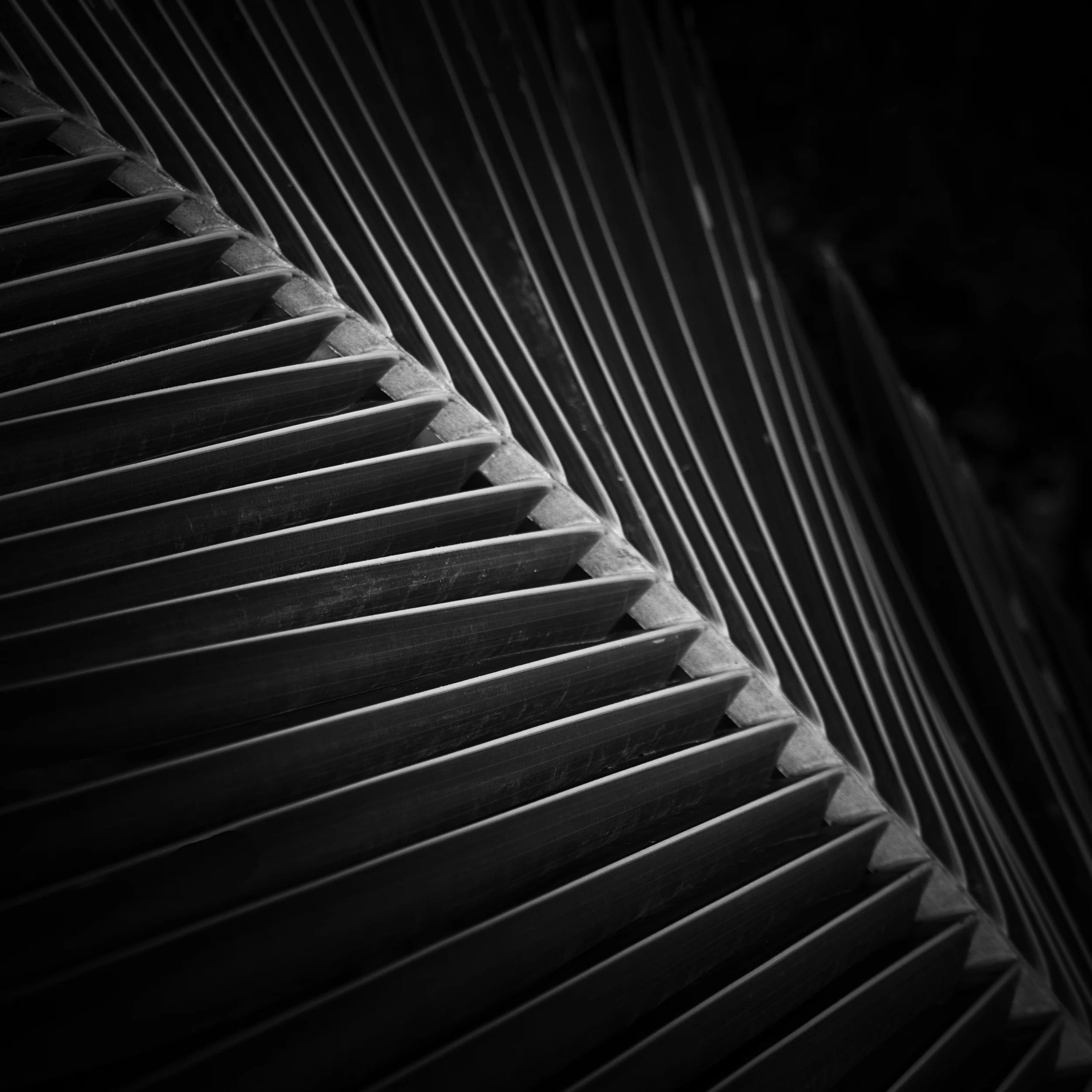 _DSC1577-Edit - Copy.jpg
