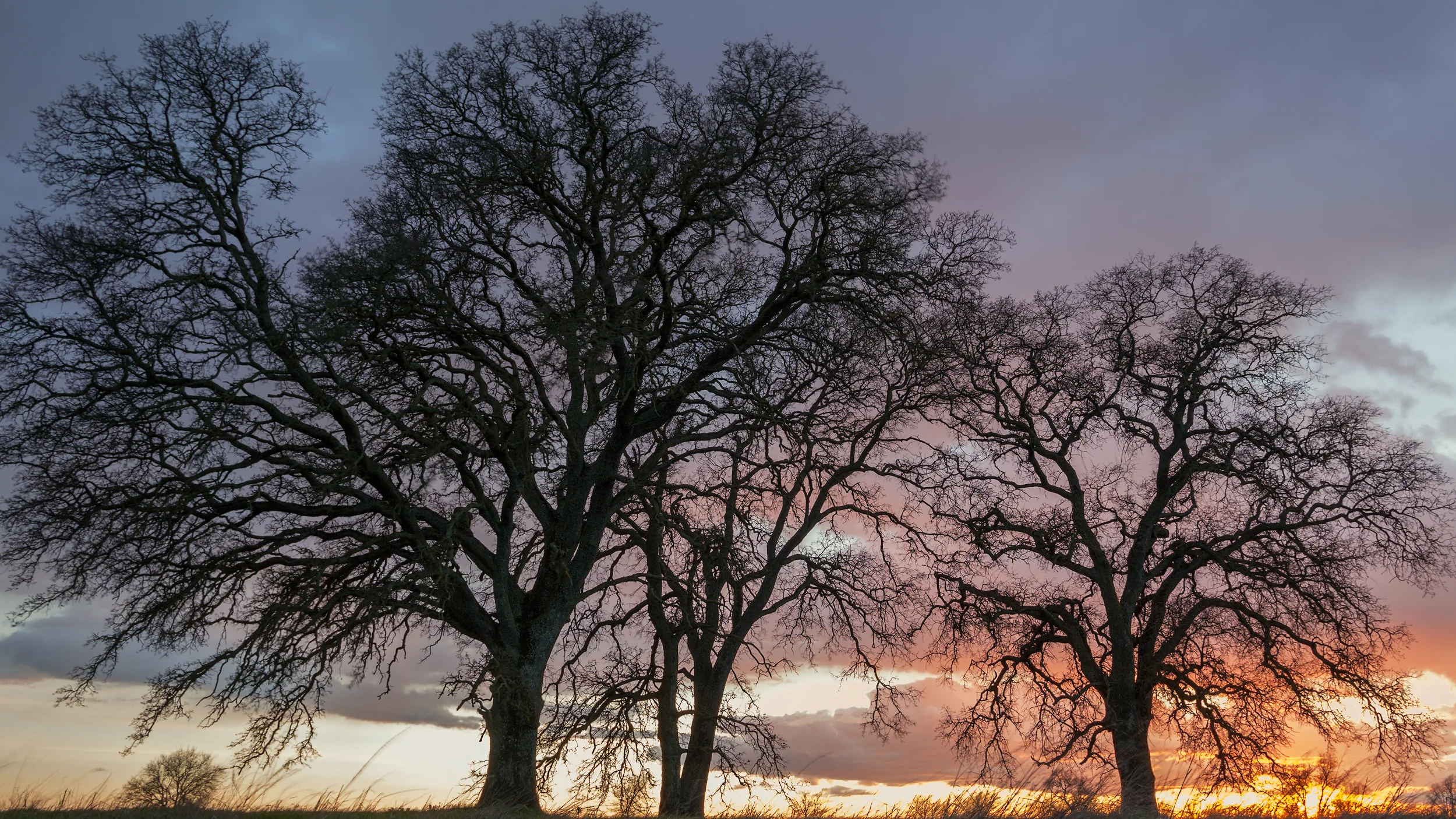 Sutter County