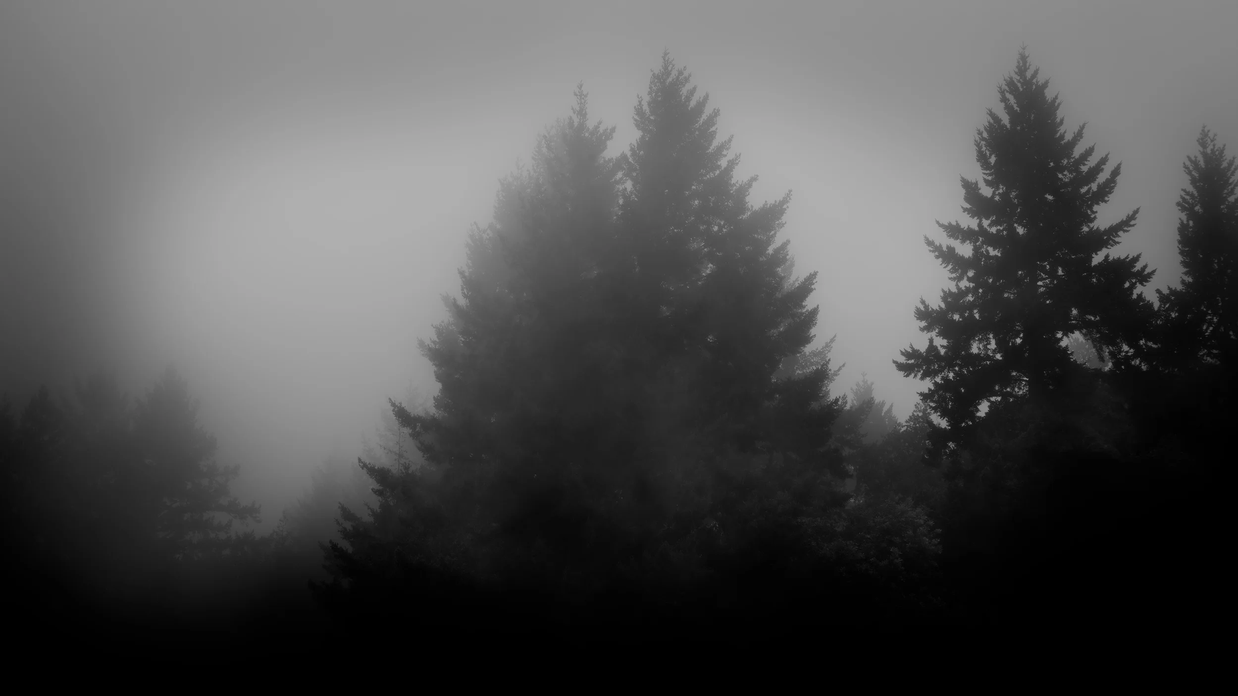 Mount Tamalpais