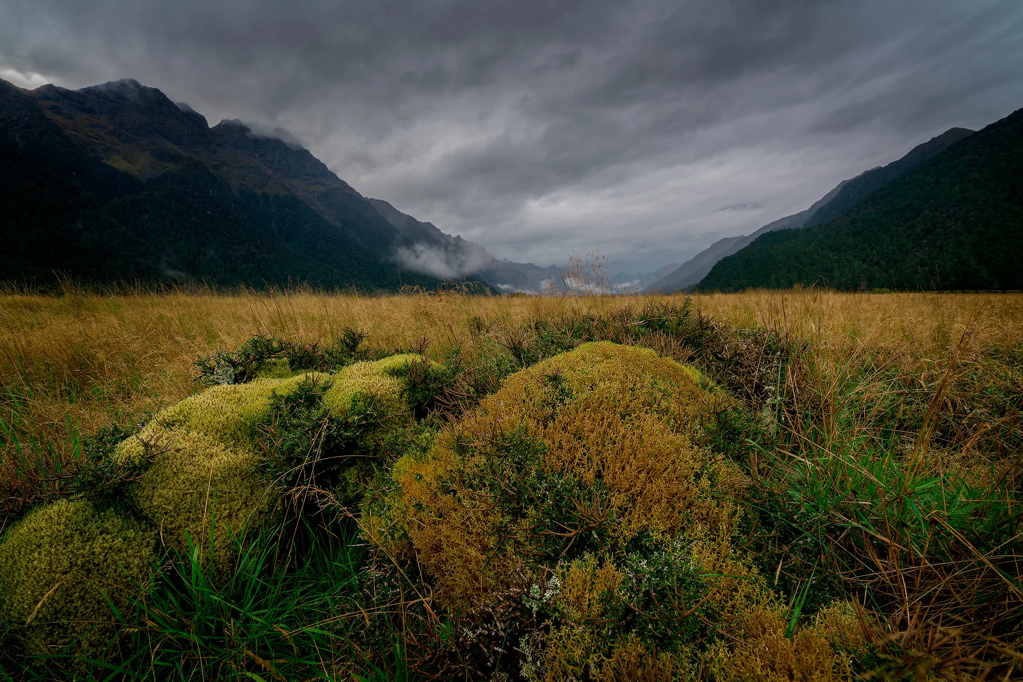 Fiordland - New Zealand
