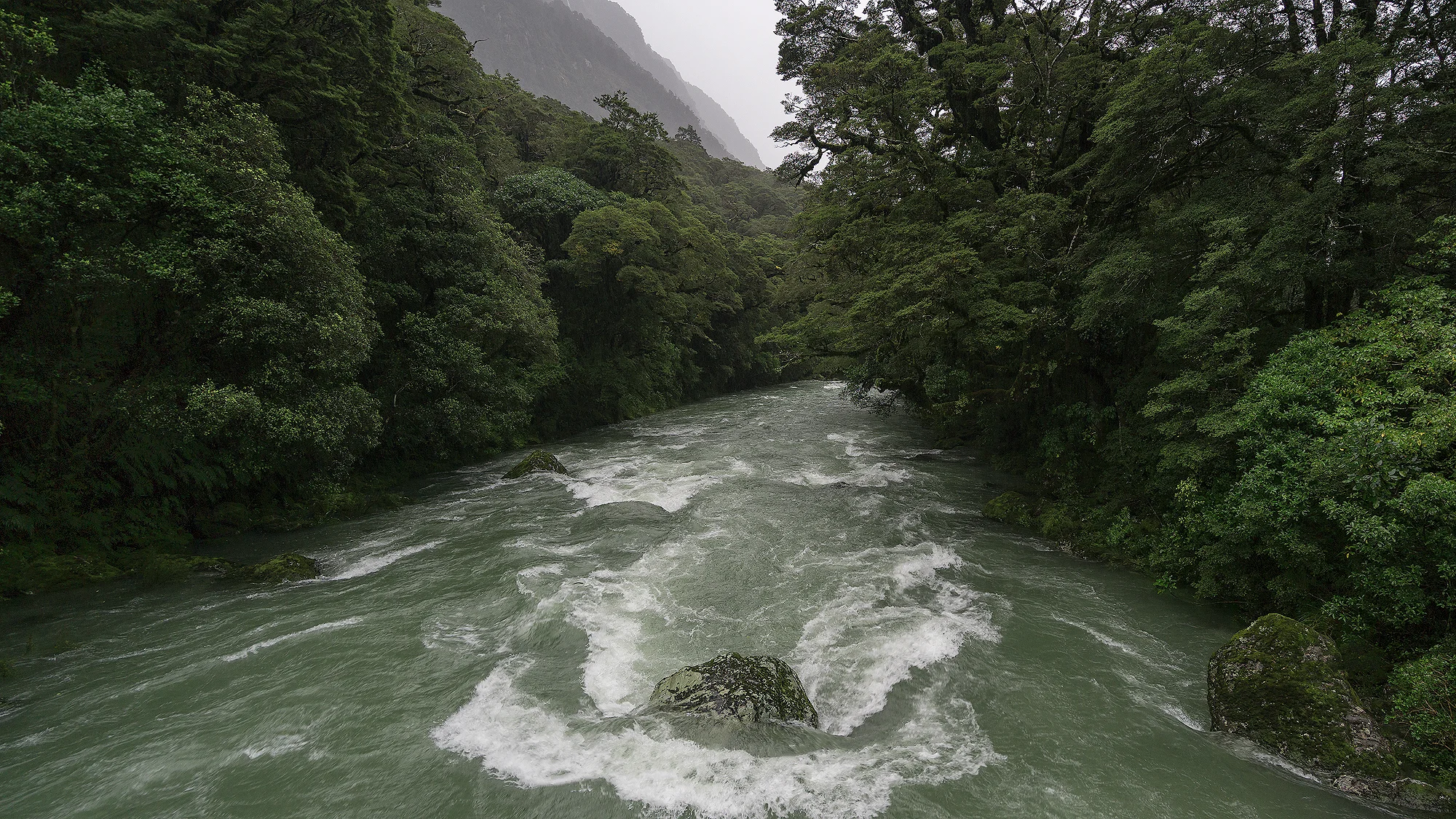 Near Milford Sound - New Zealand