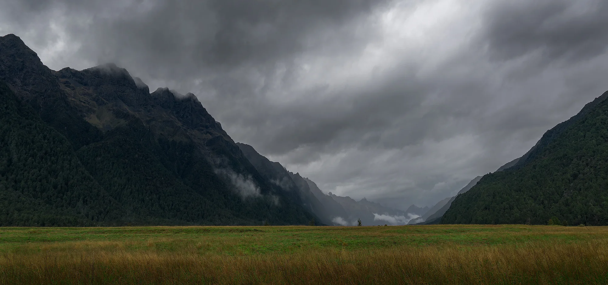 Fiordland - New Zealand