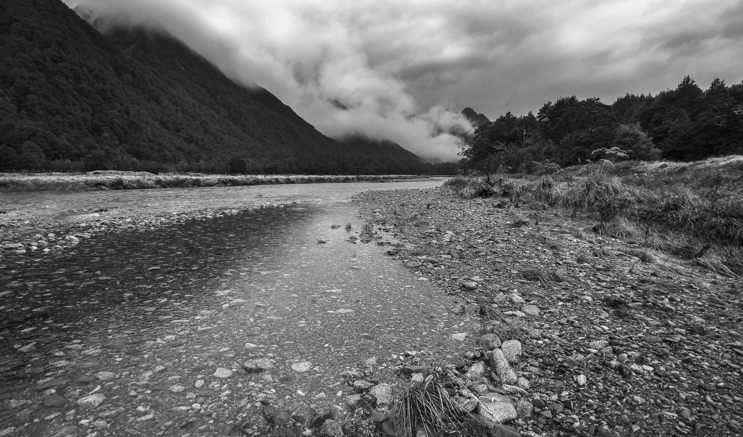 Near Milford - New Zealand