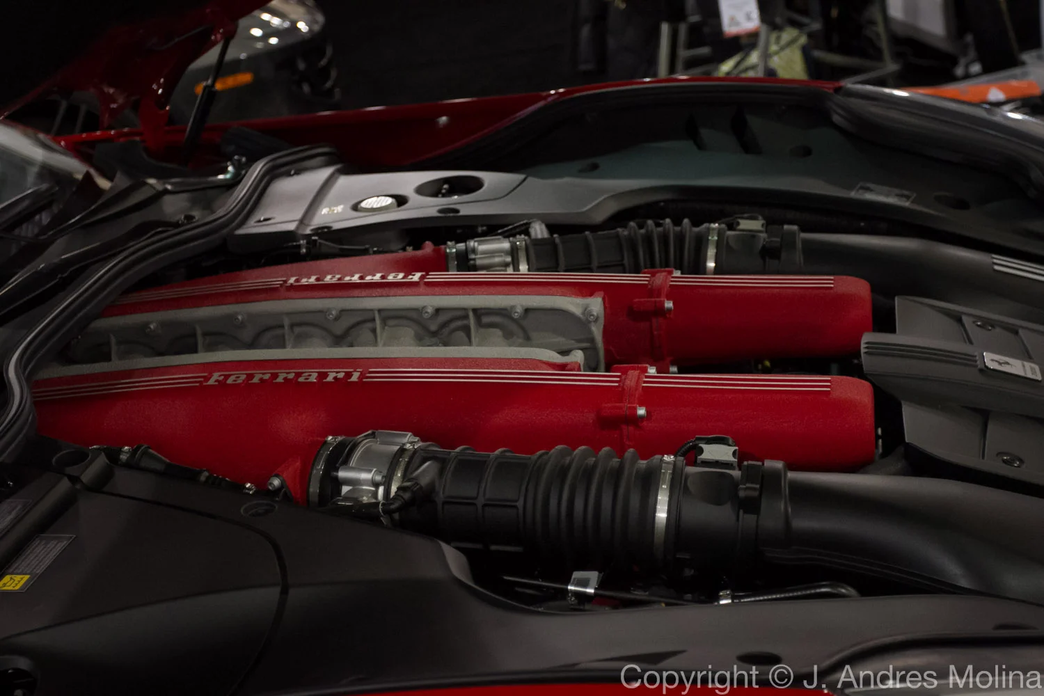  ISO 3200 &nbsp; 40mm &nbsp; f/4.0 &nbsp; 1/160s  Feb. 2016 