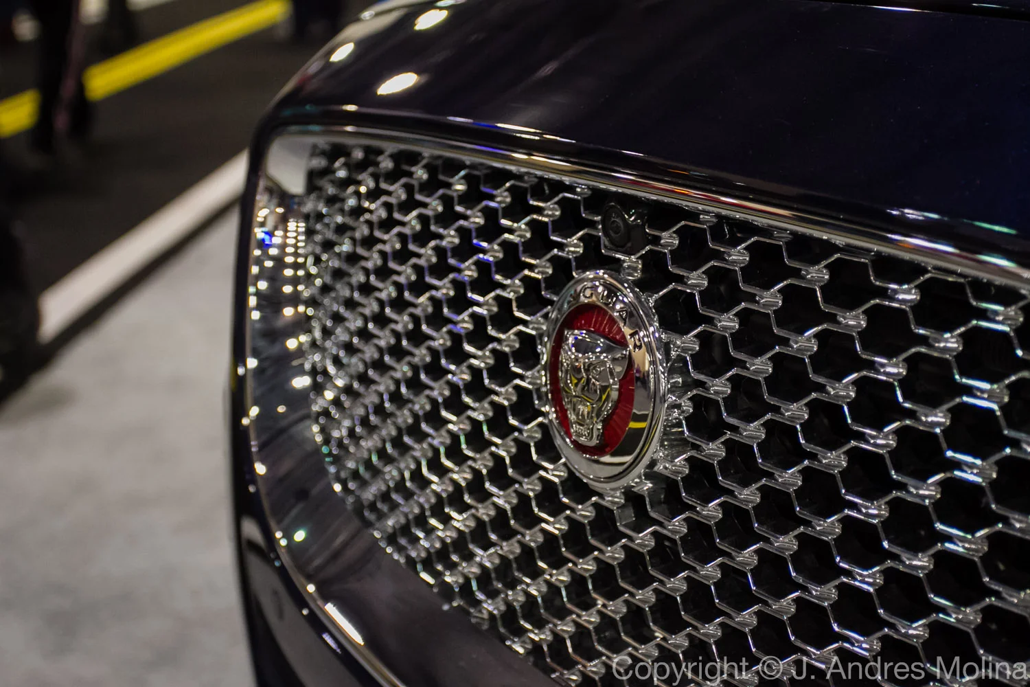  ISO 3200 &nbsp; 40mm &nbsp; f/4.0 &nbsp; 1/160s  Feb. 2016 