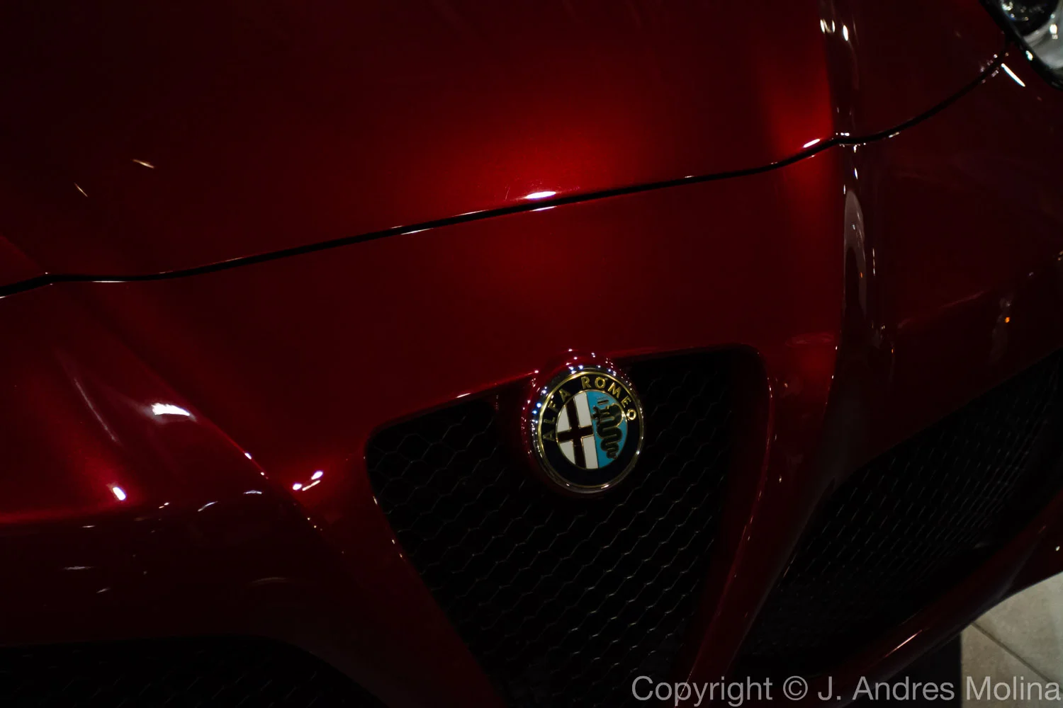  ISO 3200 &nbsp; 40mm &nbsp; f/4.0 &nbsp; 1/320s  Feb. 2016 