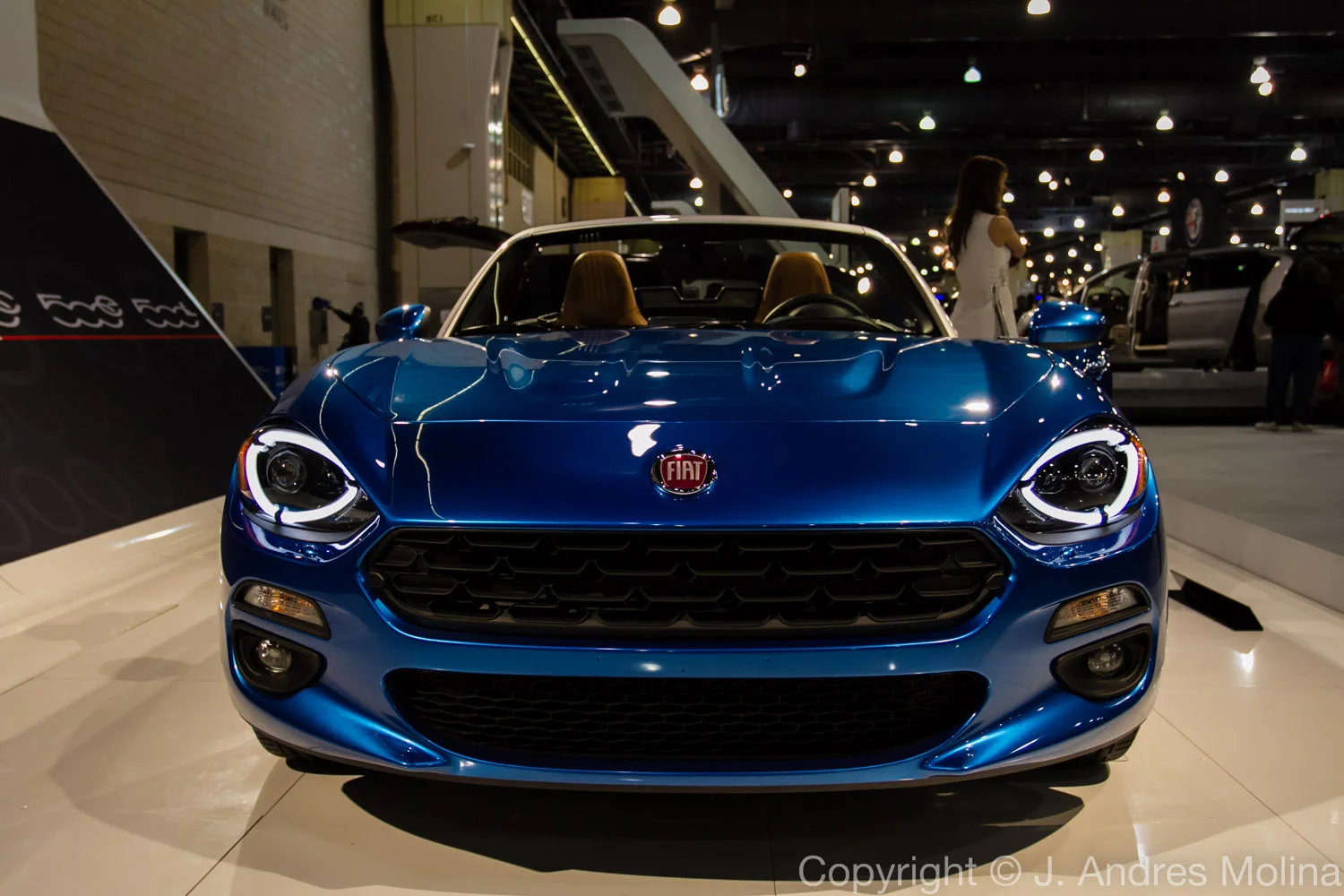  ISO 1000 &nbsp; 22mm &nbsp; f/4.0 &nbsp; 1/320s  Feb. 2016 