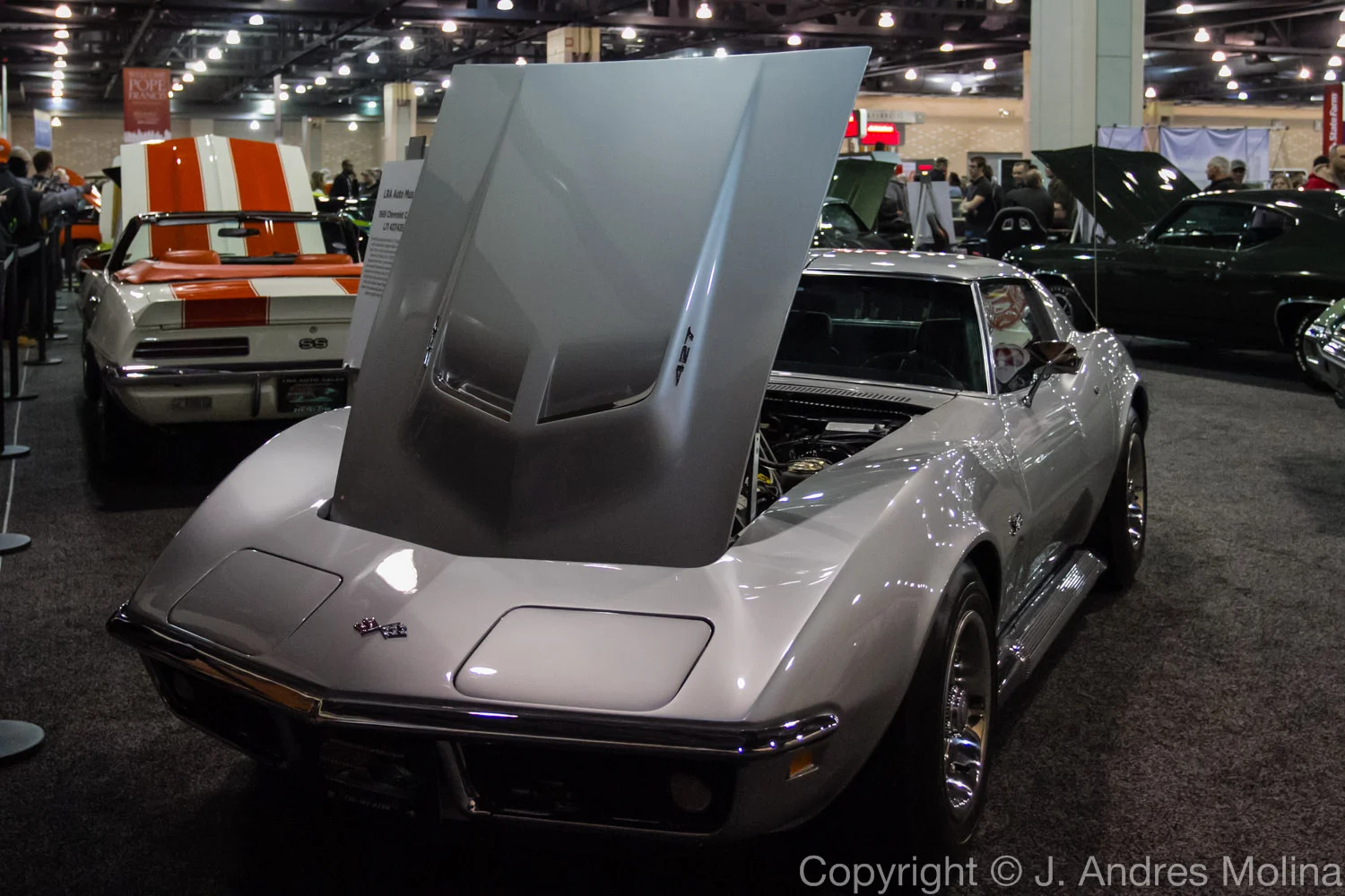  ISO 3200 &nbsp; 25mm &nbsp; f/4.0 &nbsp; 1/320s 