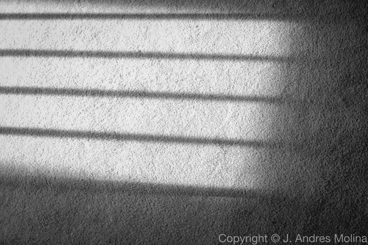  ISO 400 &nbsp; 30mm &nbsp; f/5.6 &nbsp; 1/60s  Oct. 2014 