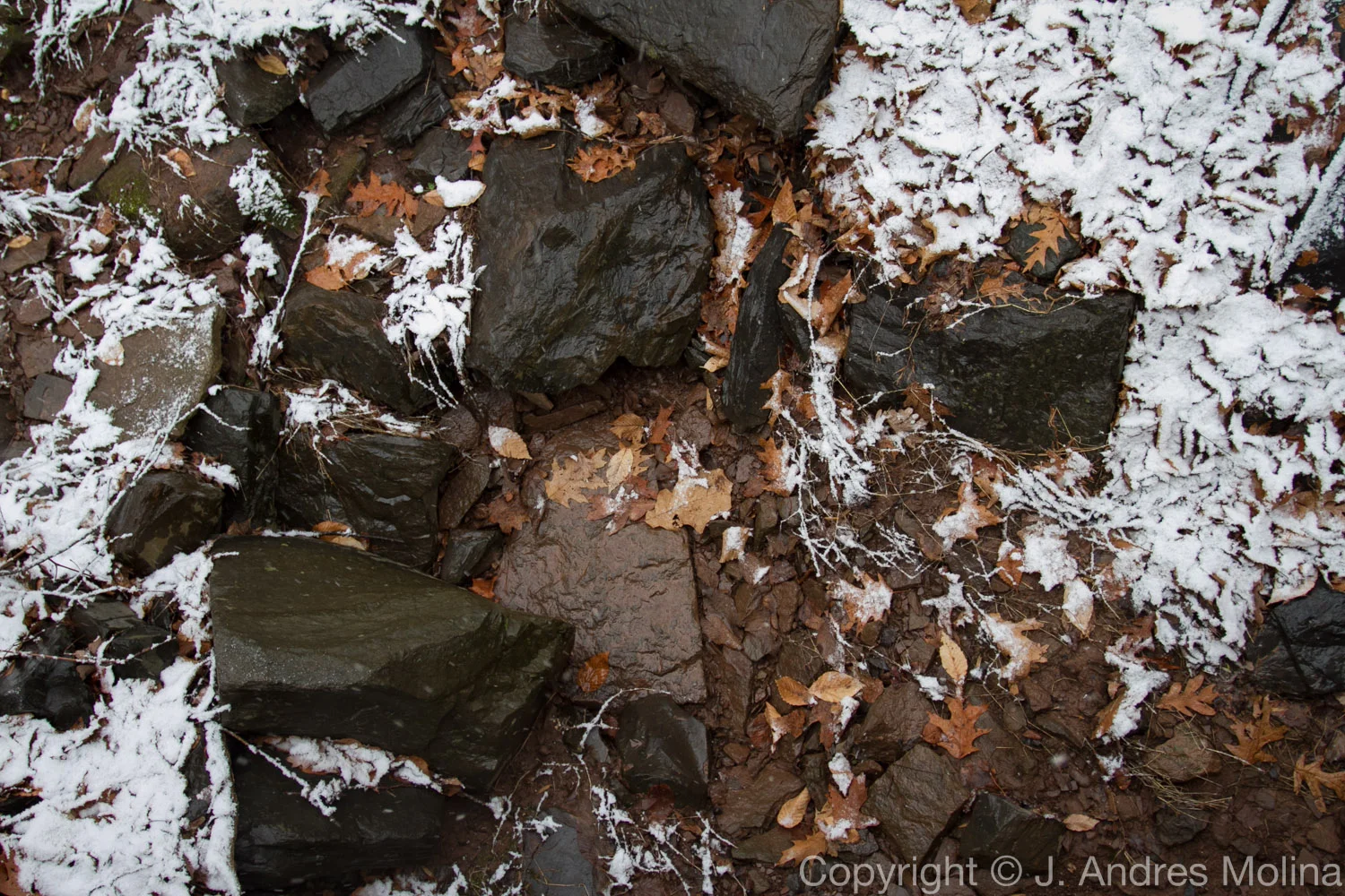  ISO 320 &nbsp; 21mm &nbsp; f/4.0 &nbsp; 1/60s  Jan. 2016 