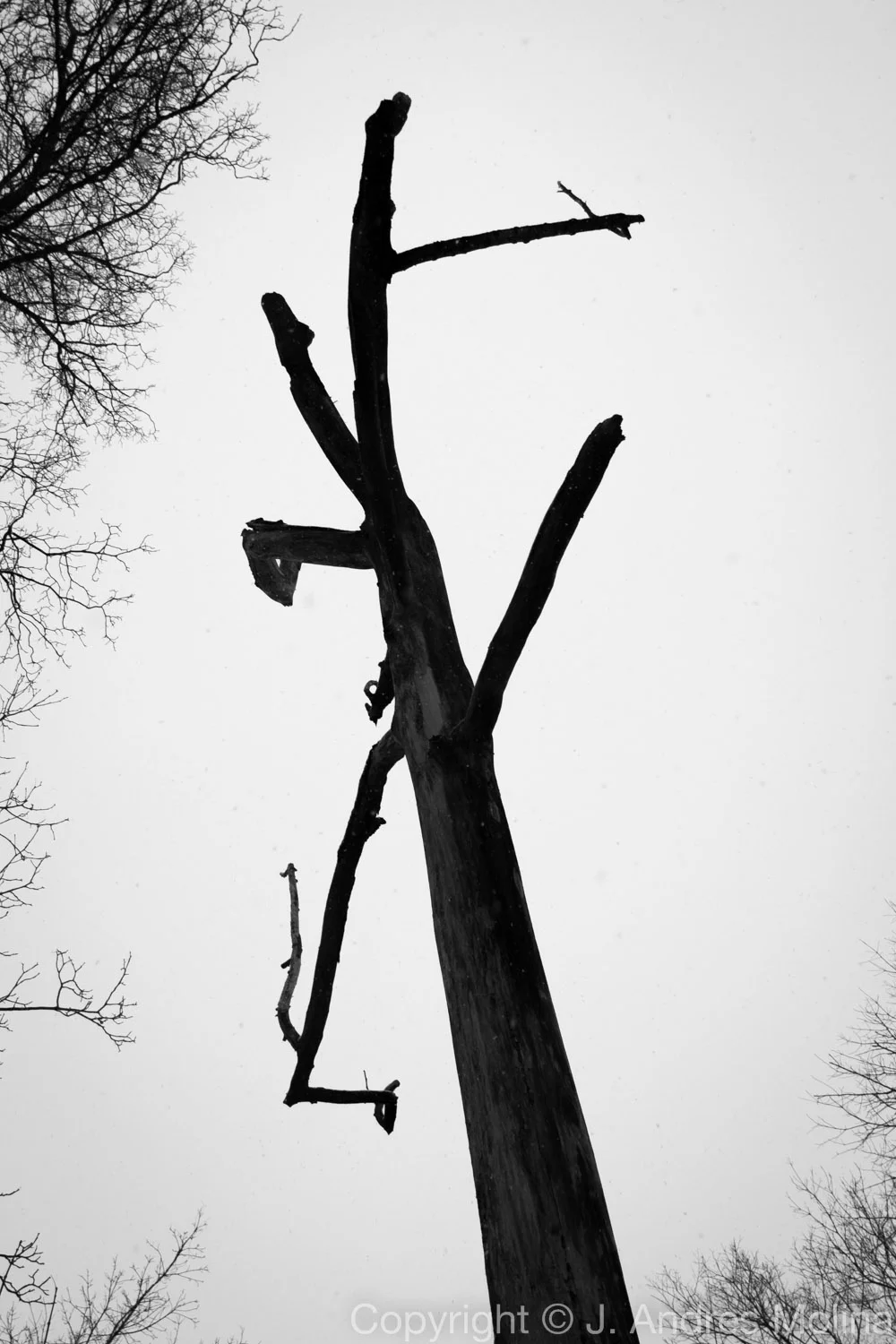  ISO 100 &nbsp; 24mm &nbsp; f/4.0 &nbsp; 1/160s  Jan. 2016 