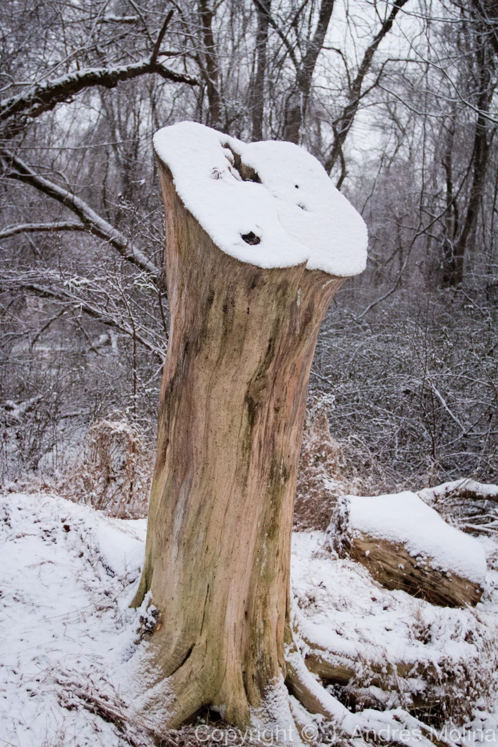  ISO 2000 &nbsp; 27mm &nbsp; f/4.0 &nbsp; 1/80s  Jan. 2016 