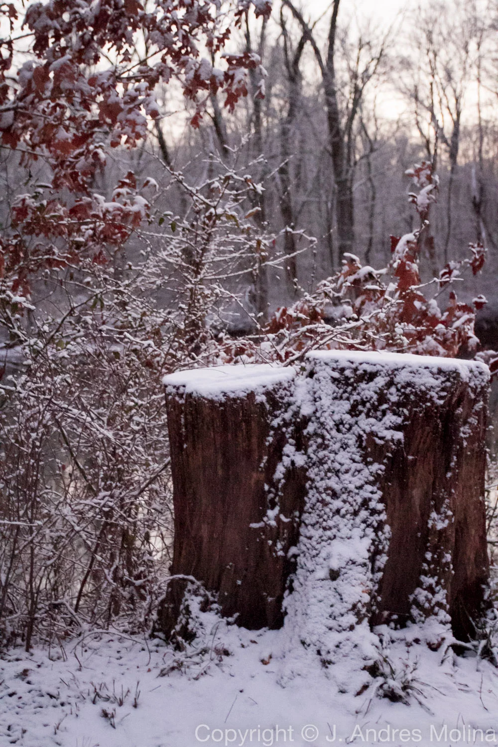  ISO 3200 &nbsp; 37mm &nbsp; f/4.0 &nbsp; 1/80s  Jan. 2016 