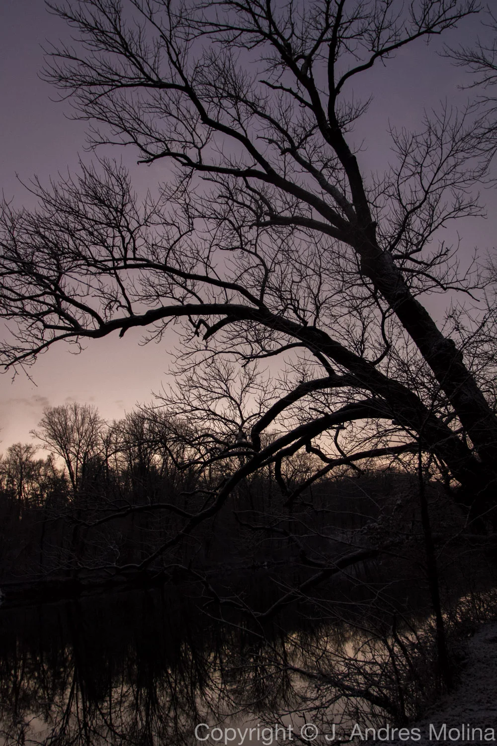  ISO 1000 &nbsp; 19mm &nbsp; f/4.0 &nbsp; 1/80s  Jan. 2016 