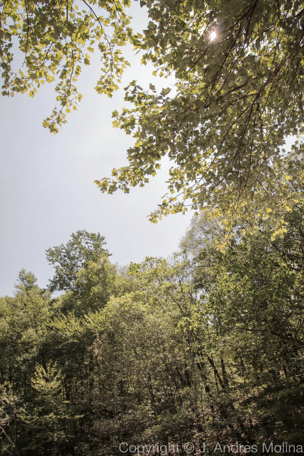  ISO 100 &nbsp; 17mm &nbsp; f/5.6 &nbsp; 1/320s  July 2015 