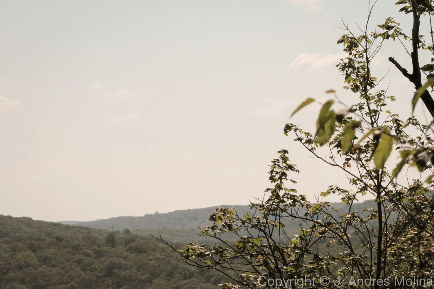  ISO 400 &nbsp; 123mm &nbsp; f/22 &nbsp; 1/640s  July 2015 