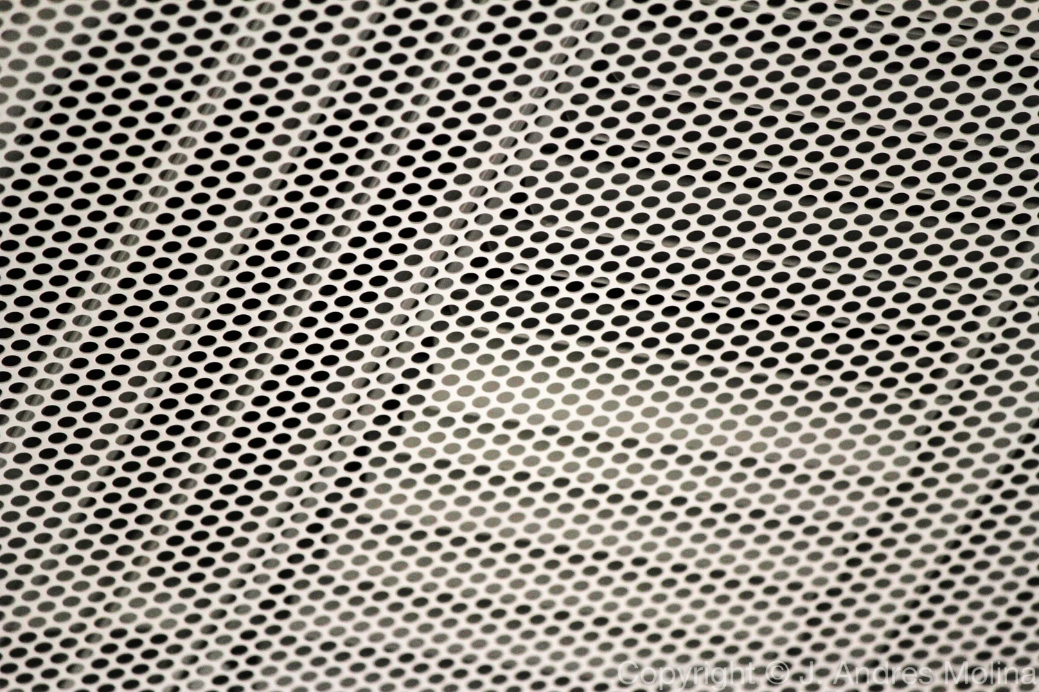  ISO 400 &nbsp; 250mm &nbsp; f/5.6 &nbsp; 1/160s  Oct. 2014 