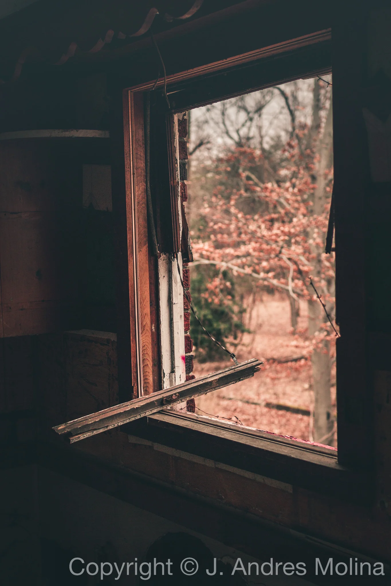  ISO 400&nbsp; &nbsp;30mm&nbsp; &nbsp;f/2.5&nbsp; &nbsp;1/640s  Jan. 2018 