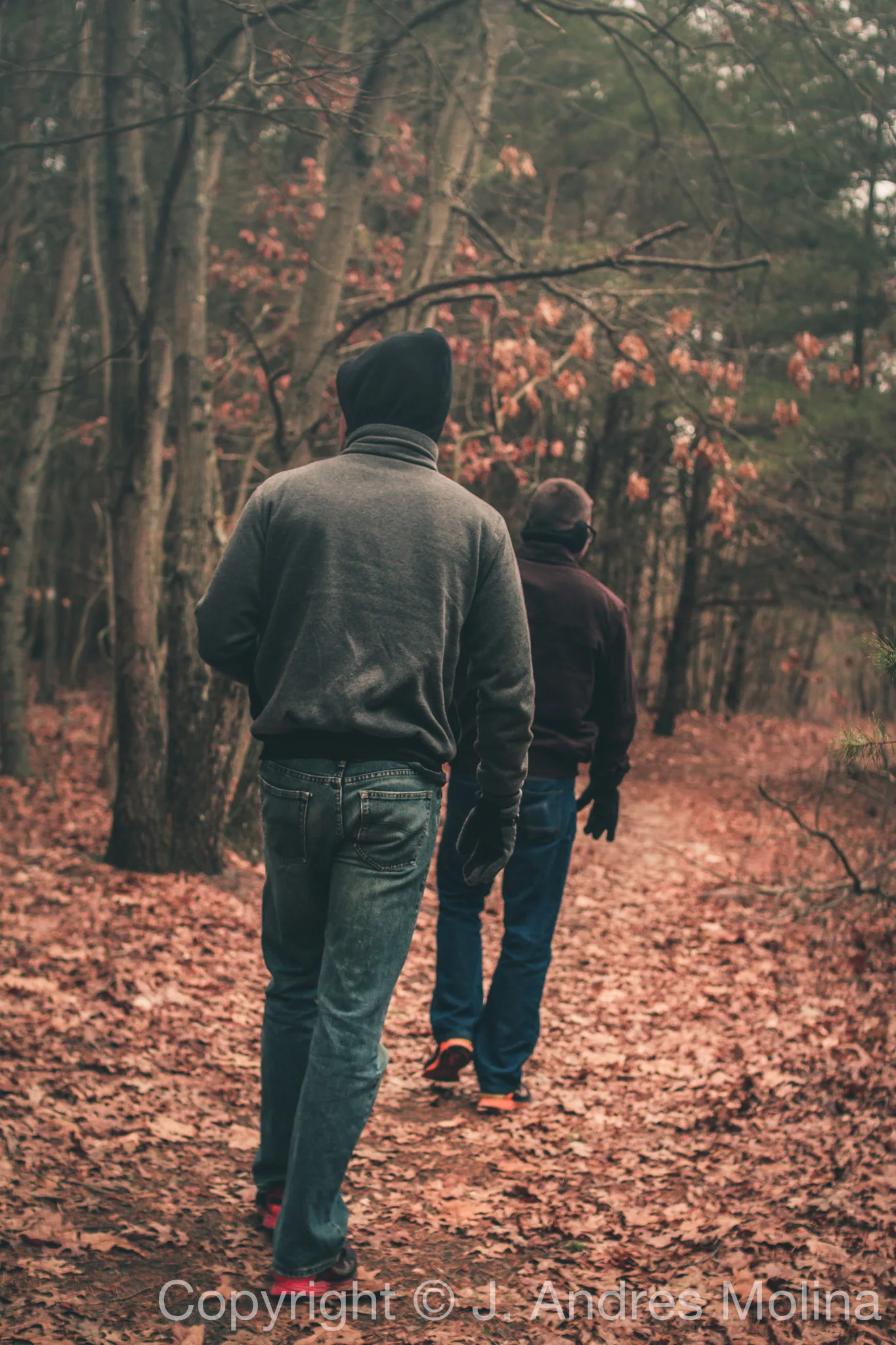  ISO 400&nbsp; &nbsp;30mm&nbsp; &nbsp;f/2.5&nbsp; &nbsp;1/800s  Jan. 2018 