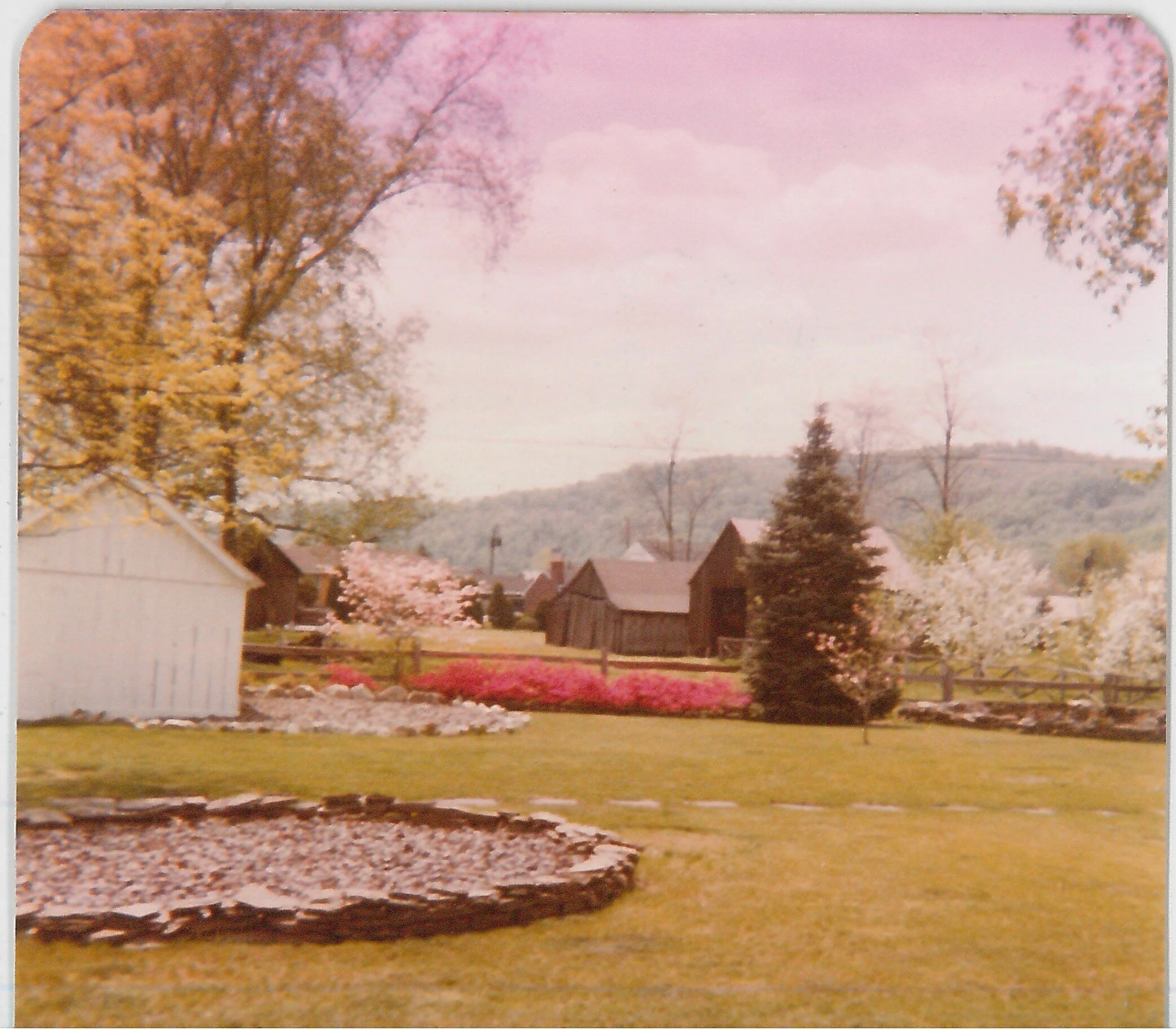 John and Lisa Cockayne house yard, ca. 1960