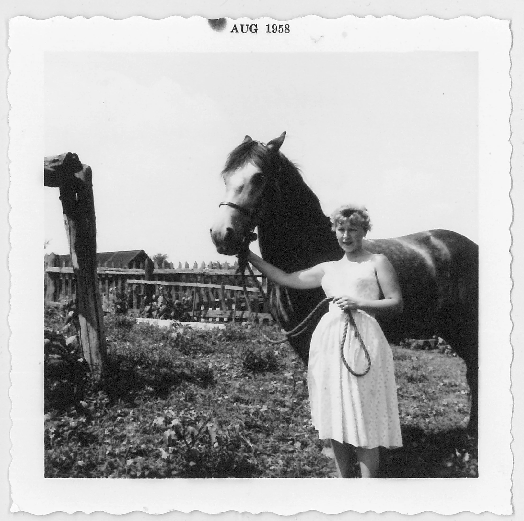 A woman in a sleeveless dress standing outdoors with a horse, holding its halter. The photo is black and white, dated August 1958.