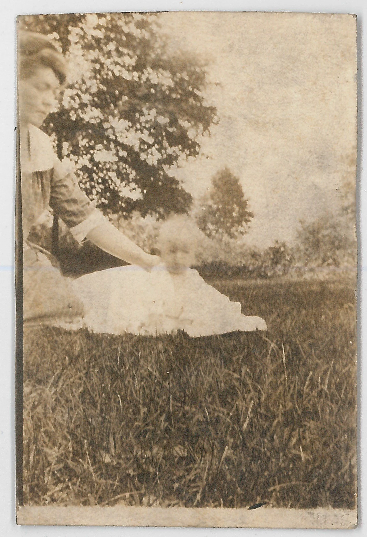 A sepia-toned photograph of baby Sam Cockayne outdoors, lying on the grass with arms extended and Beulah sitting nearby, with trees in the background.
