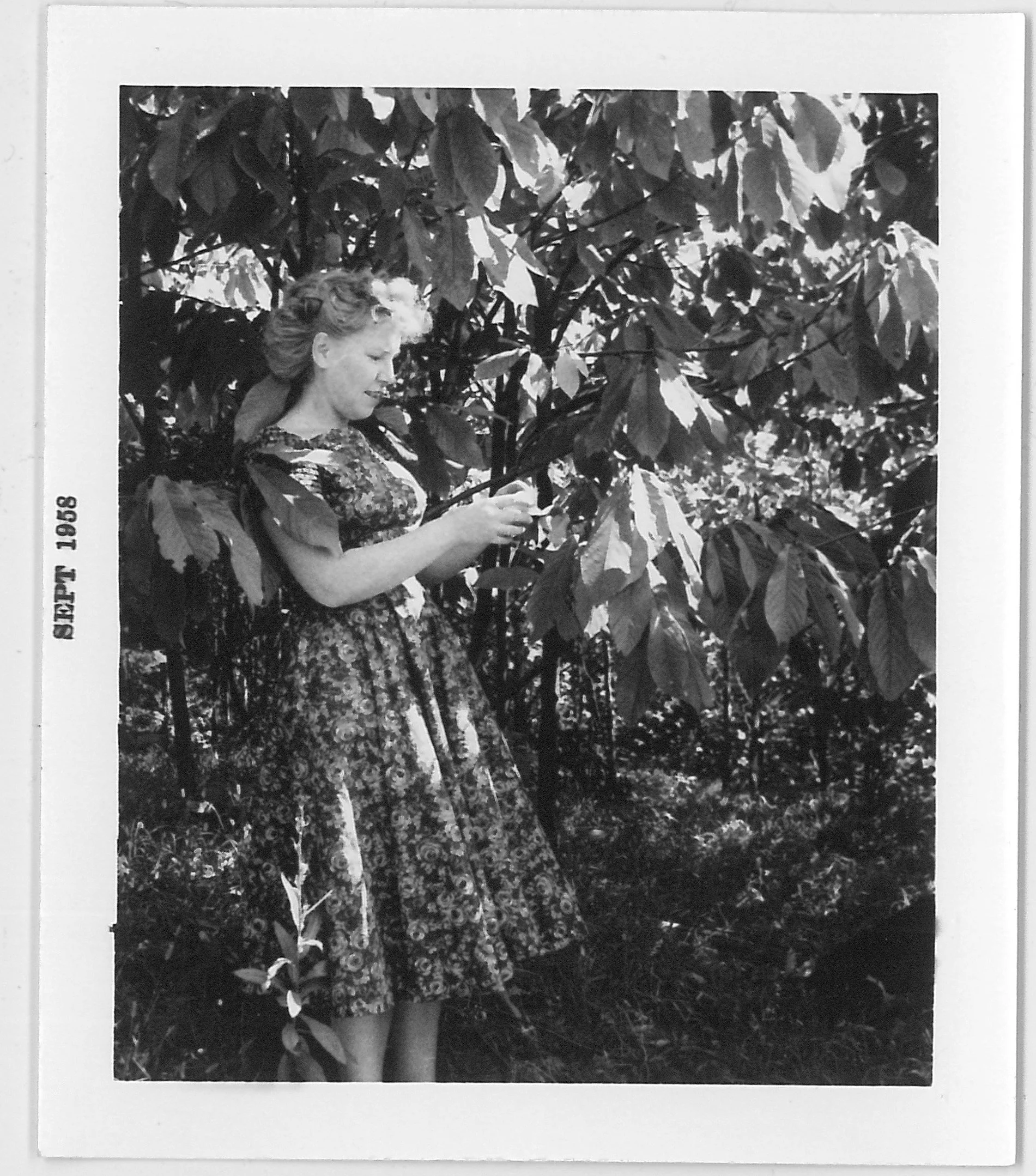 A woman in a floral dress standing among trees, looking at her phone.
