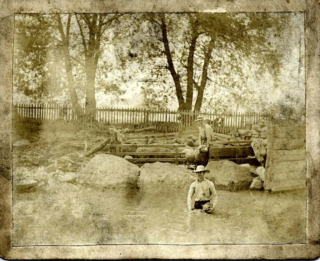 A sepia-toned photograph of two children outdoors, one standing in a shallow water area wearing a hat, and another standing on rocks nearby. There are large trees and a wooden fence in the background.