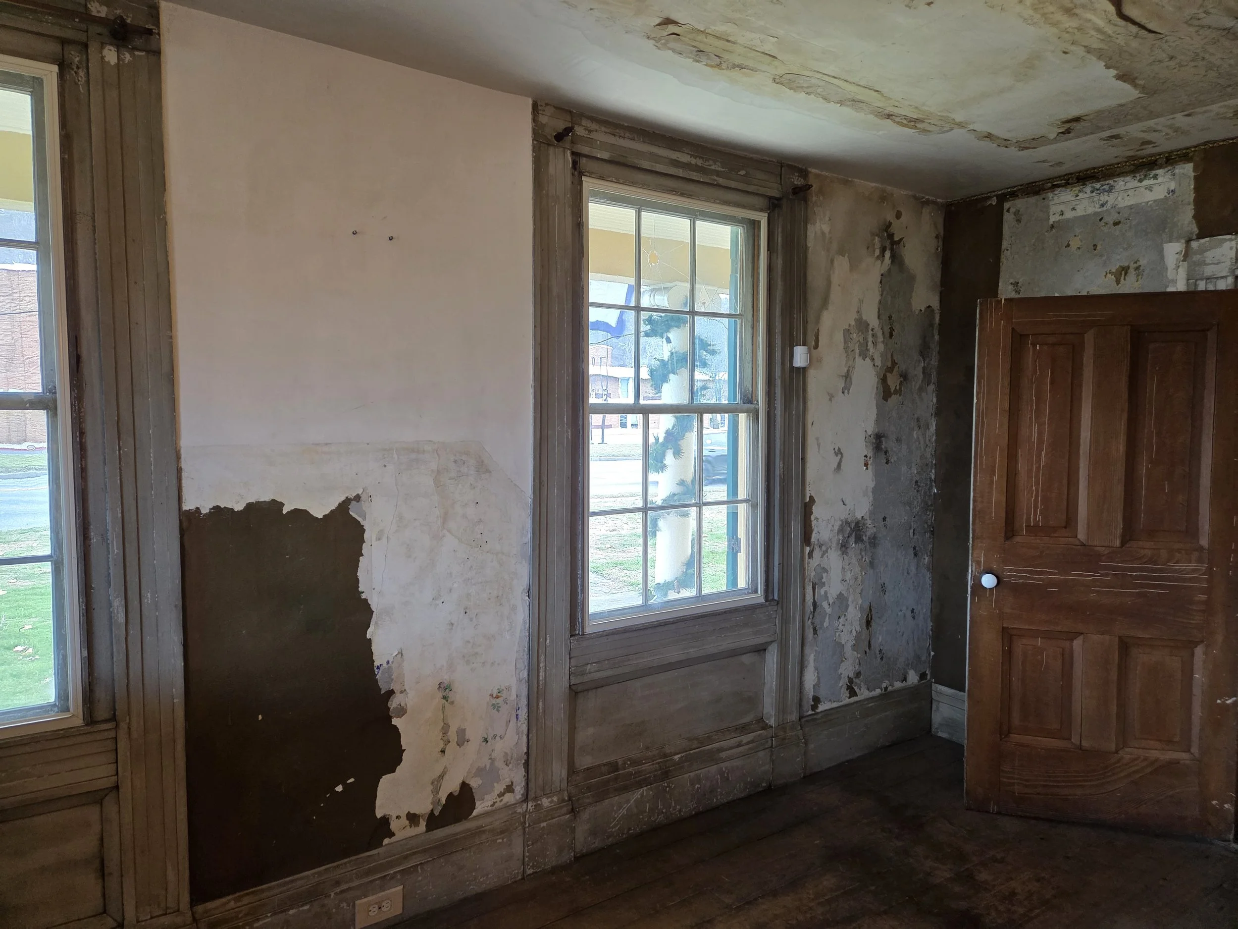 Room with peeling wallpaper on walls, an old wooden door, and a window showing outside scenery.