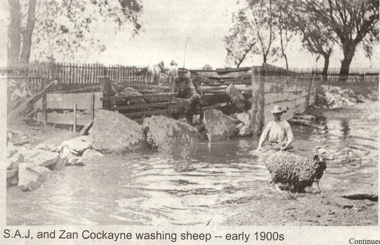 Black and white photo of two children washing sheep in a small creek, with a wooden fence and trees in the background, early 1900s.