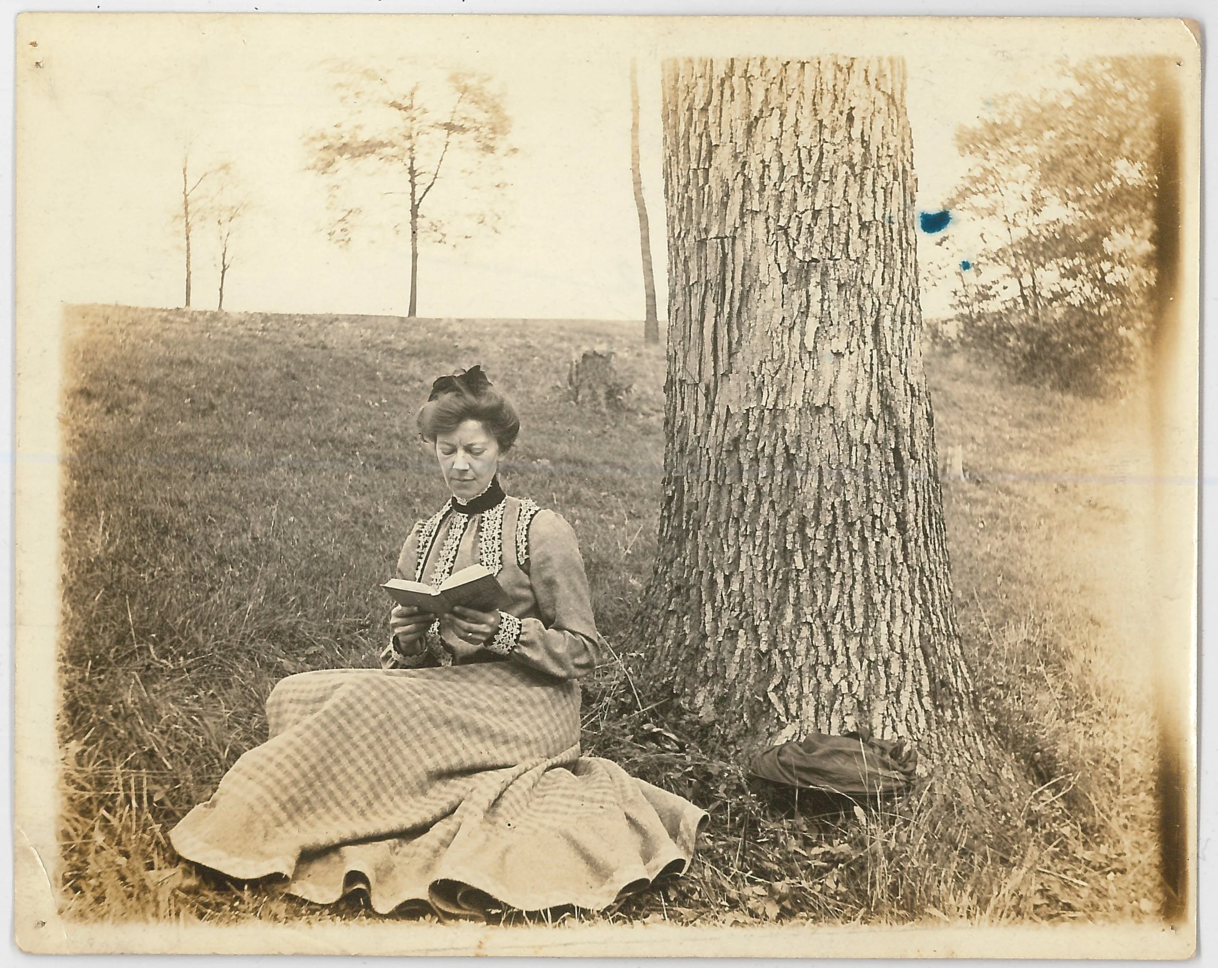 A woman with vintage clothing sitting outdoors on the grass, reading a book next to a large tree.