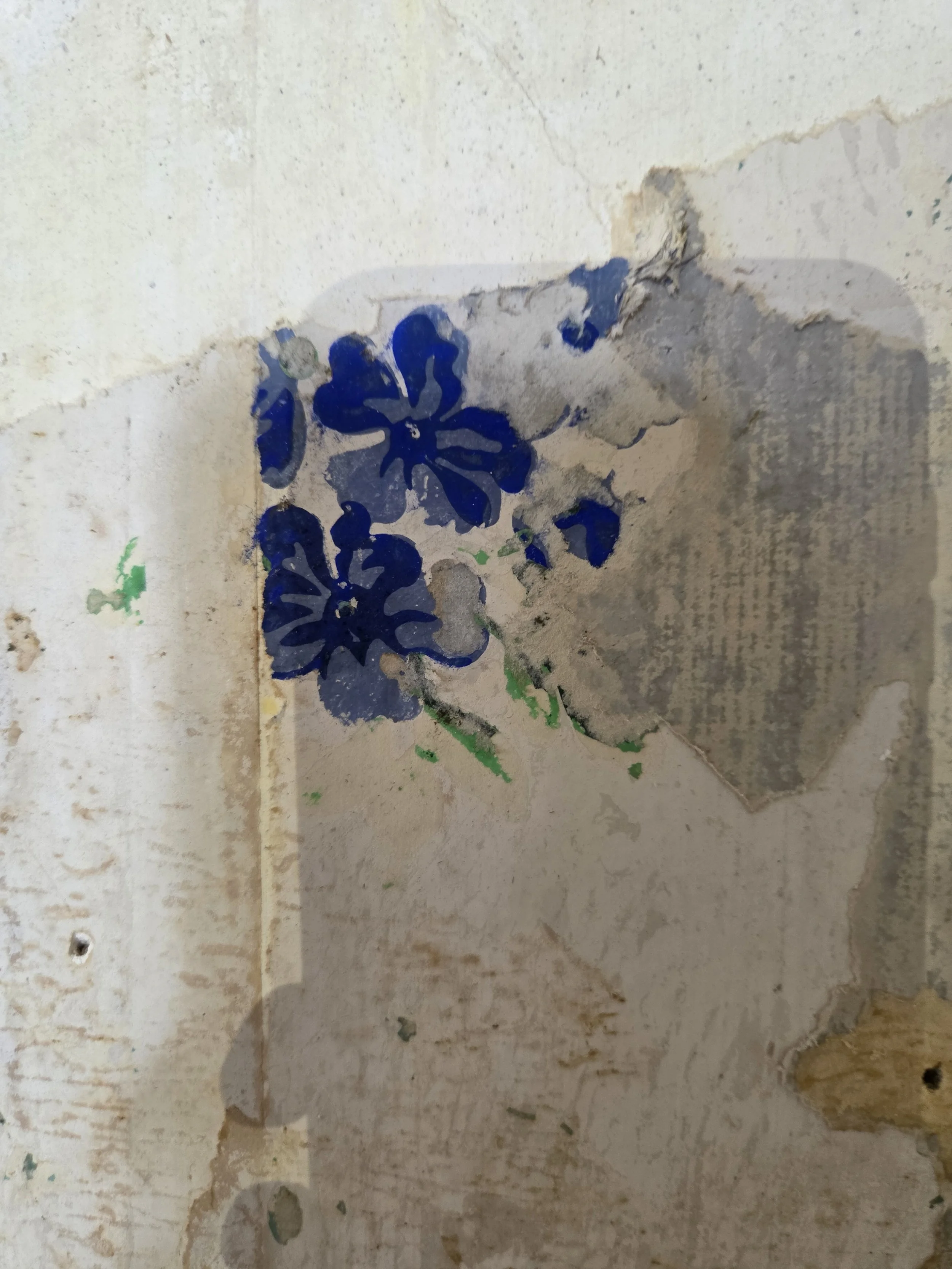 A sample of the wallpaper layer that was painted with a small blue floral sticker or stencil featuring five petals with dark blue centers.