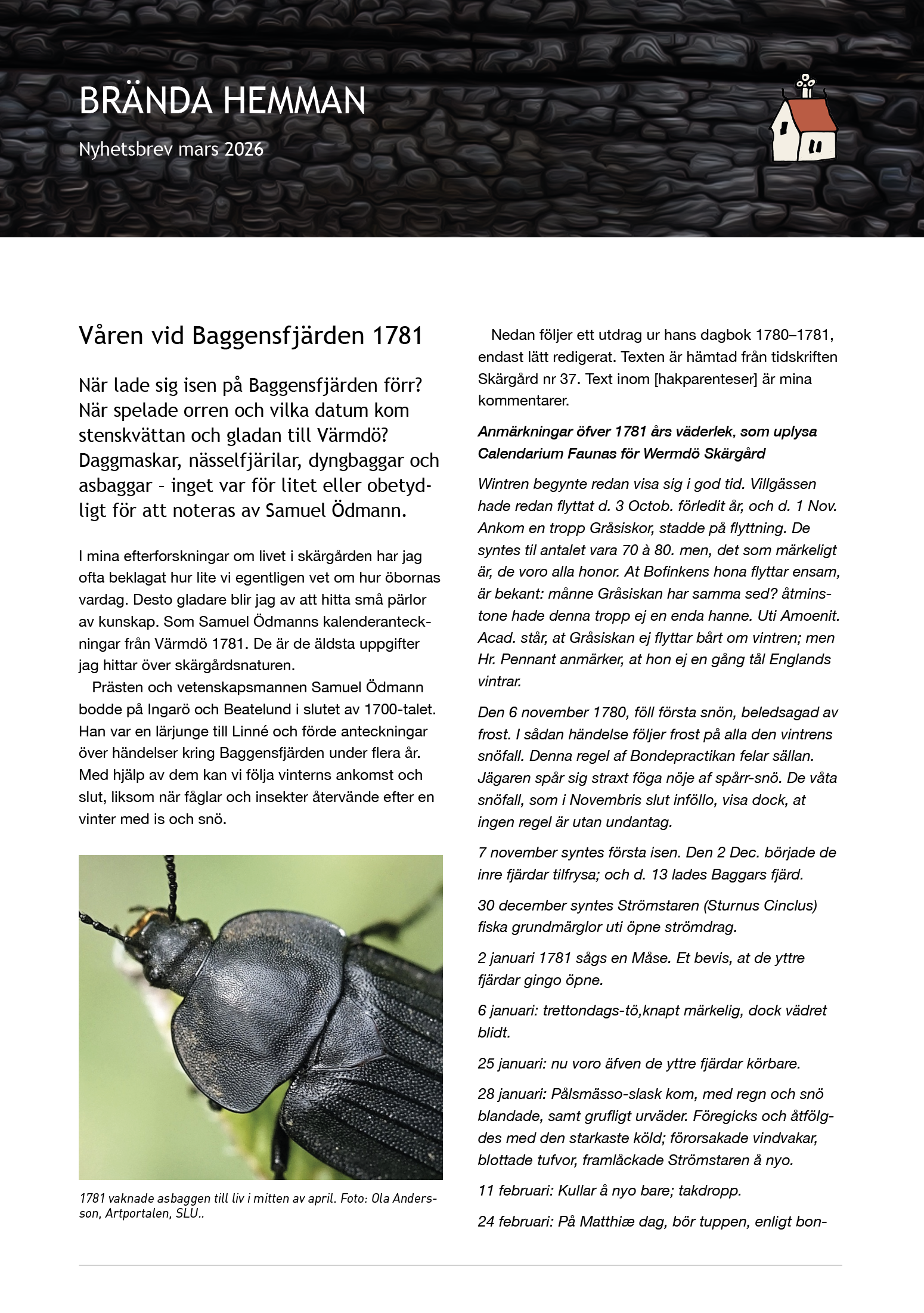 Våren vid Baggensfjärden 1781