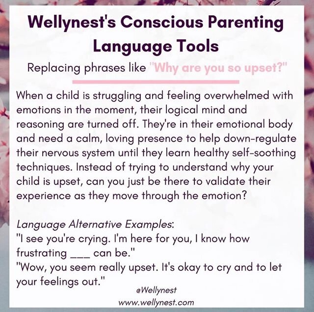 If you work with me or are a part of my course and workshops you'll hear me say often that the &quot;why questions&quot; should be silently directed towards you as the parent, not out loud toward your child. At the core of this is giving your child p