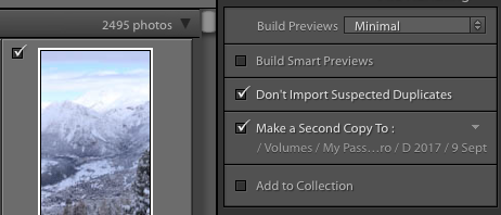 Lightroom has a "Make a Second Copy" option for easy backups