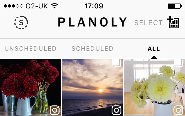 planoly2.jpg
