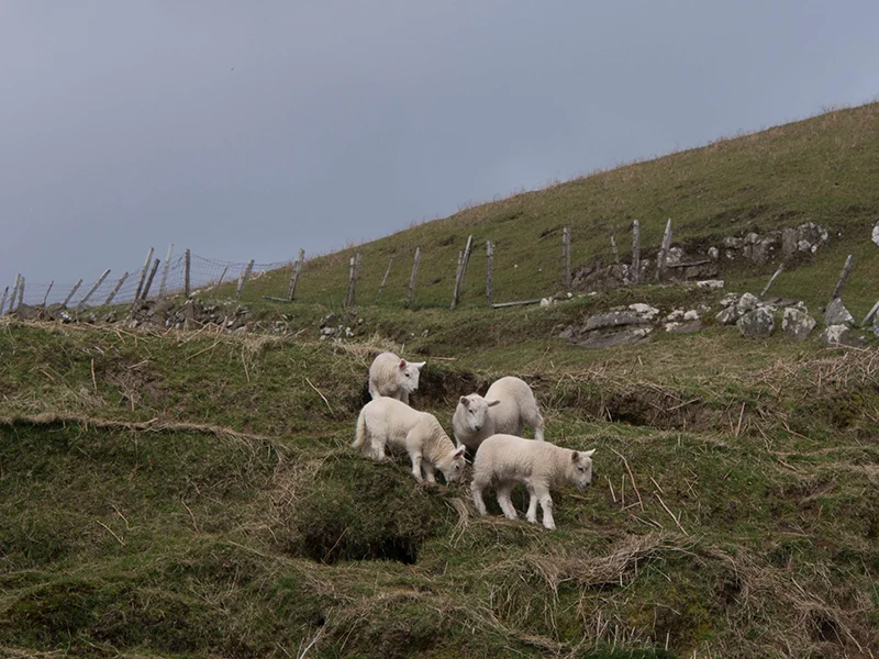BEFORE: Nice diagonals, but central static composition and slightly underexposed