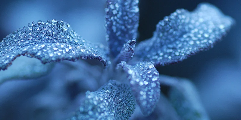 Your story, Class of January 2017