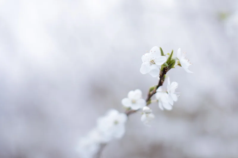 emmadaviesphotography-1020.jpg