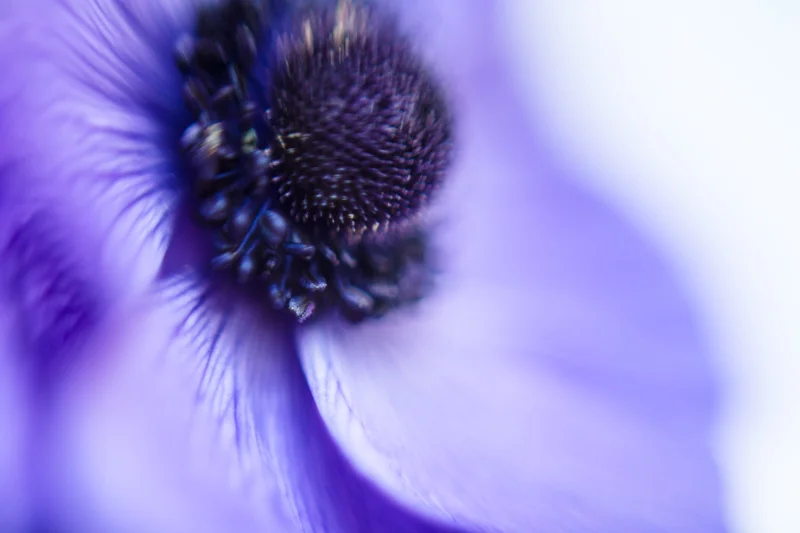 emmadaviesphotography-2924.jpg