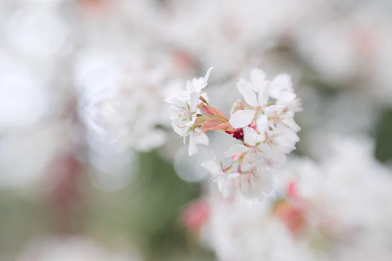 Same shot, faster shutter speed: 1/680th